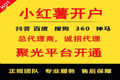 竞价托管服务案例解析